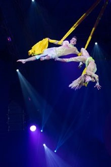 7a edici&oacute; del Festival Internacional de Circ Elefant d'Or 2018 a la Devesa de Girona