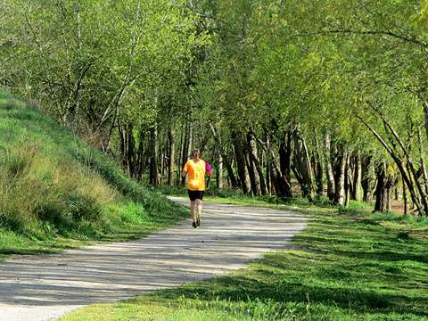 La Via Verda