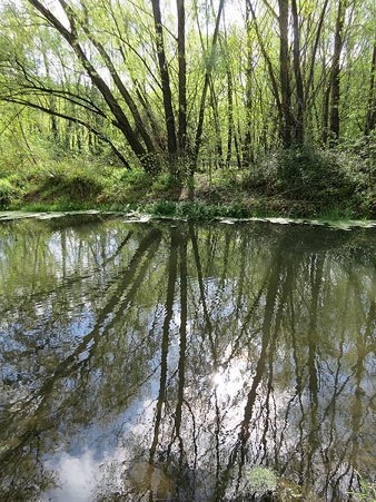 L'Illa de Pedret