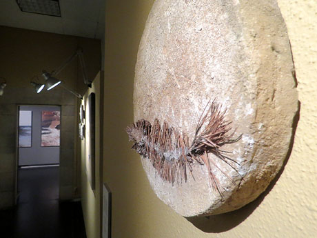 Exposici&oacute; 'L'oblit de la forma' de Joan Mateu a la Casa Pastors