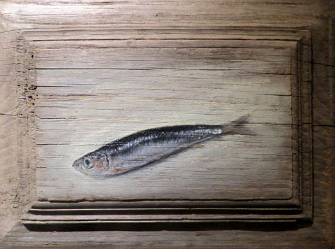 Sardina. Acr&iacute;lic sobre taula. 30 x 22 cm