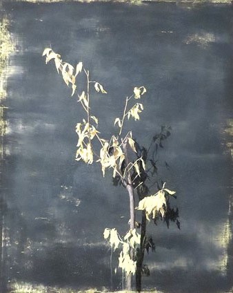 Mitificaci&oacute; I. T&egrave;cnica mixta sobre tela. 114 x 146 cm