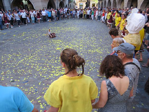 Sardanes i m&uacute;sica a la pla&ccedil;a del Vi