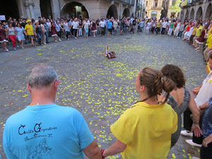 Sardanes i m&uacute;sica a la pla&ccedil;a del Vi