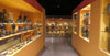 Nit dels Museus. Museu del Cinema