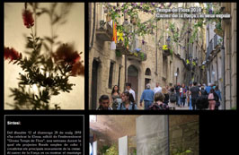 Anar