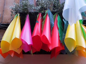 Temps de Flors 2018. Instal&middot;lacions i muntatges florals al carrer Ballesteries