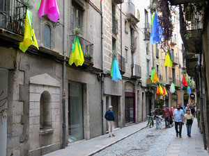 Temps de Flors 2018. Instal&middot;lacions i muntatges florals al carrer Ballesteries