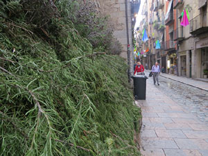 Temps de Flors 2018. Instal&middot;lacions i muntatges florals al carrer Ballesteries