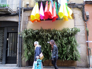 Temps de Flors 2018. Instal&middot;lacions i muntatges florals al carrer Ballesteries