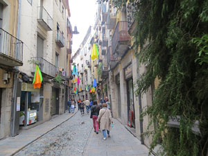 Temps de Flors 2018. Instal&middot;lacions i muntatges florals al carrer Ballesteries