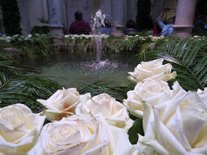 Temps de Flors 2018. Decoracions florals als diversos espais dels Banys &Agrave;rabs