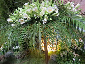 Temps de Flors 2018. Decoracions florals als diversos espais dels Banys &Agrave;rabs