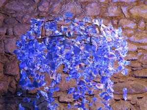 Temps de Flors 2018. Decoracions florals als diversos espais dels Banys &Agrave;rabs