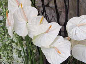 Temps de Flors 2018. Decoracions florals als diversos espais dels Banys &Agrave;rabs