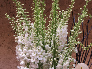 Temps de Flors 2018. Decoracions florals als diversos espais dels Banys &Agrave;rabs