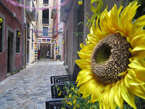 Temps de Flors 2018. Instal&middot;lacions i muntatges florals a la Pla&ccedil;a del Bell-lloc, Travessia de l'Auriga