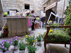Temps de Flors 2018. Instal&middot;lacions florals al pati de la Casa Boadas Formiga