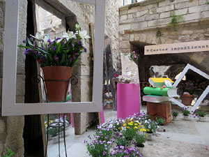 Temps de Flors 2018. Instal&middot;lacions florals al pati de la Casa Boadas Formiga