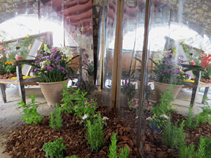 Temps de Flors 2018. Instal&middot;lacions florals al pati de la Casa Boadas Formiga