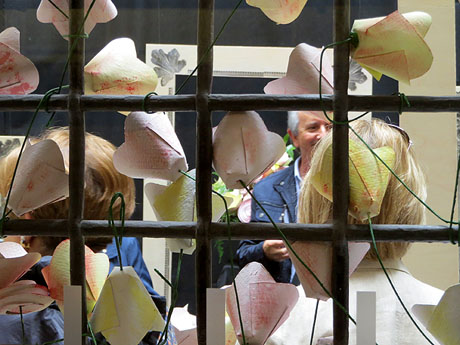 Temps de Flors 2018. Muntatges florals al espais de Caixaf&ograve;rum, a l'edifici de la Fontana d'Or