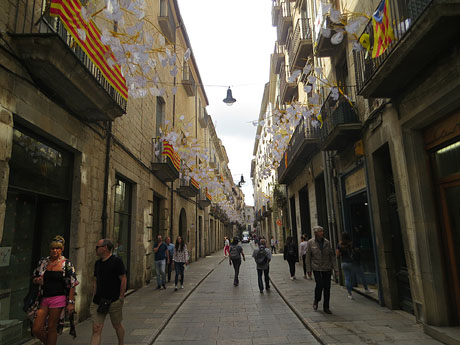 Temps de Flors 2018. Instal&middot;lacions 'El Bosc de la Llibertat' a la pla&ccedil;a del Vi, carrer Ciutadans i pla&ccedil;a de l'Oli