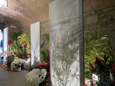 Temps de Flors 2018. Instal&middot;lacions florals als espais del carrer de la For&ccedil;a i Germanes Maria Gay