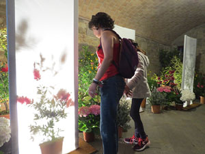 Temps de Flors 2018. Instal&middot;lacions florals als espais del carrer de la For&ccedil;a i Germanes Maria Gay