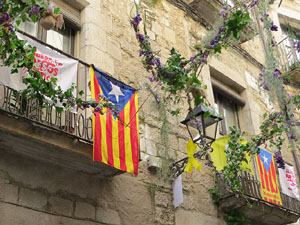 Temps de Flors 2018. Instal&middot;lacions florals als espais del carrer de la For&ccedil;a i Germanes Maria Gay