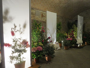 Temps de Flors 2018. Instal&middot;lacions florals als espais del carrer de la For&ccedil;a i Germanes Maria Gay