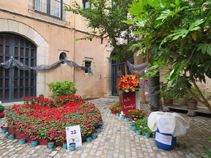 Temps de Flors 2018. Muntatges i instal&middot;lacions florals a la Casa Agullana