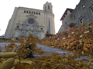 Temps de Flors 2018. Instal&middot;laci&oacute; 'Per treure'ns del pecat i dar-nos alegria' a les escales de la Catedral