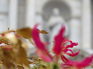 Temps de Flors 2018. Instal&middot;laci&oacute; 'Per treure'ns del pecat i dar-nos alegria' a les escales de la Catedral