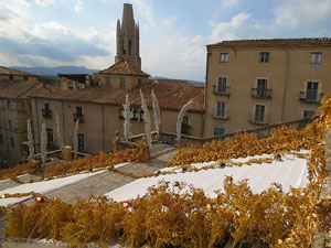 Temps de Flors 2018. Instal&middot;laci&oacute; 'Per treure'ns del pecat i dar-nos alegria' a les escales de la Catedral