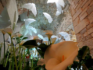 Temps de Flors 2018. Muntatges florals als diversos espais dels Soterranis de la Catedral