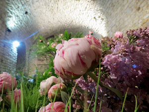 Temps de Flors 2018. Muntatges florals als diversos espais dels Soterranis de la Catedral