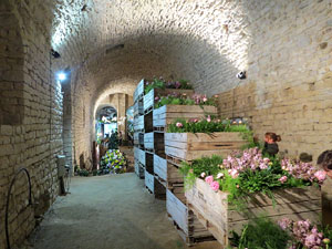Temps de Flors 2018. Muntatges florals als diversos espais dels Soterranis de la Catedral