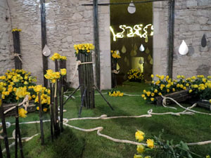 Temps de Flors 2018. Muntatges florals als diversos espais dels Soterranis de la Catedral