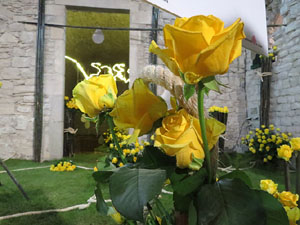 Temps de Flors 2018. Muntatges florals als diversos espais dels Soterranis de la Catedral