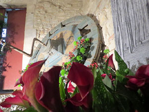 Temps de Flors 2018. Muntatges florals als diversos espais dels Soterranis de la Catedral