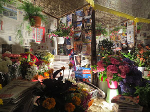 Temps de Flors 2018. Muntatges florals als diversos espais dels Soterranis de la Catedral