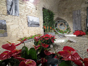 Temps de Flors 2018. Muntatges florals als diversos espais dels Soterranis de la Catedral