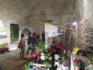 Temps de Flors 2018. Muntatges florals als diversos espais dels Soterranis de la Catedral