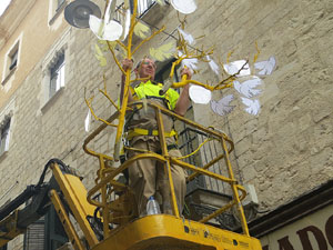 Temps de Flors 2018. Instal&middot;lacions 'El Bosc de la Llibertat' a la pla&ccedil;a del Vi, carrer Ciutadans i pla&ccedil;a de l'Oli