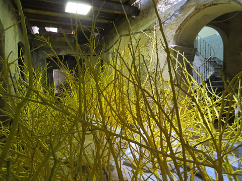 Making of de la instal&middot;laci&oacute;