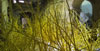 Making of El Bosc de la Llibertat