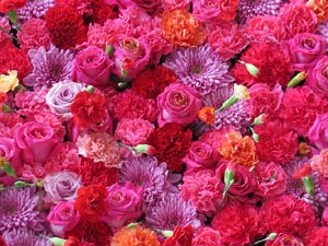 Temps de Flors 2018. Muntatges florals als claustres de Sant Pere de Galligants