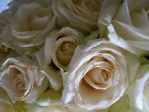 Temps de Flors 2018. Muntatges florals als claustres de la Catedral