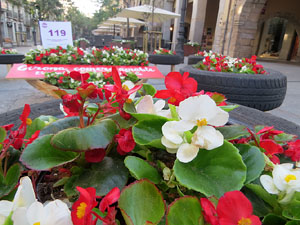 Temps de Flors 2018. Muntatges, instal&middot;lacions i exposicions florals a diversos indrets