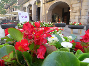 Temps de Flors 2018. Muntatges, instal&middot;lacions i exposicions florals a diversos indrets